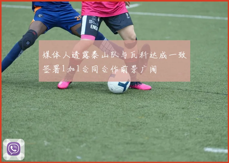 媒体人透露泰山队与瓦科达成一致签署1加1合同合作前景广阔