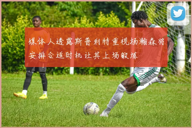 媒体人透露斯普利特重视杨瀚森将安排合适时机让其上场锻炼