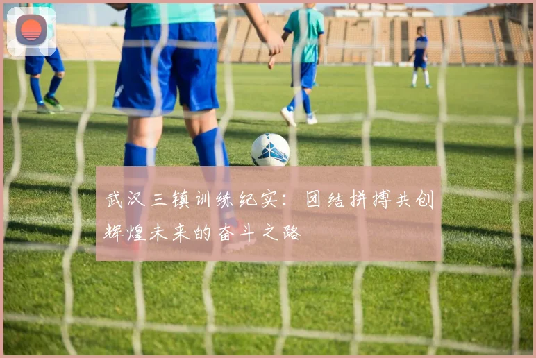 武汉三镇训练纪实：团结拼搏共创辉煌未来的奋斗之路