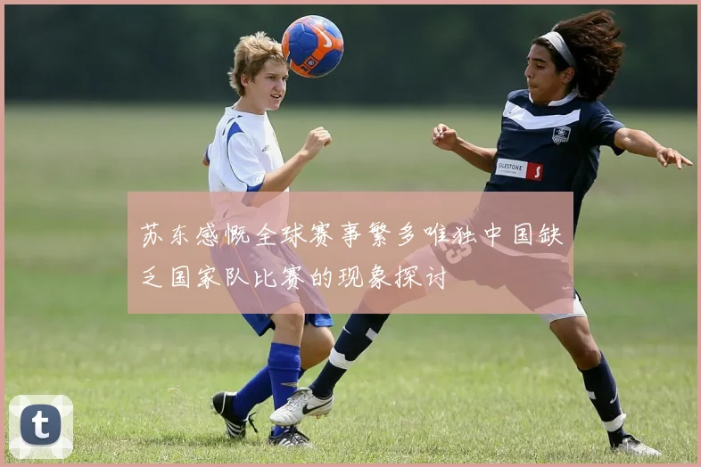 苏东感慨全球赛事繁多唯独中国缺乏国家队比赛的现象探讨